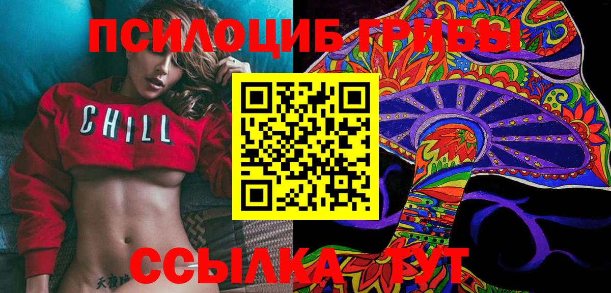 Псилоцибиновые грибы Cubensis Минеральные Воды