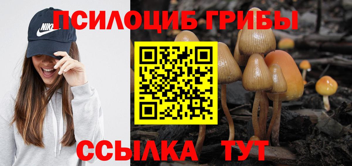 Минеральные Воды  Псилоцибиновые грибы Cubensis  Вход с VPN 